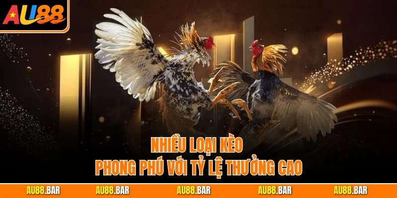 Nhiều loại kèo phong phú với tỷ lệ thưởng cao